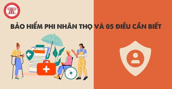 Bảo hiểm phi nhân thọ là gì