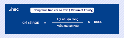 Tỷ suất sinh lời trên vốn chủ sở hữu